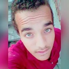 Mahmoud A. EL Oraby