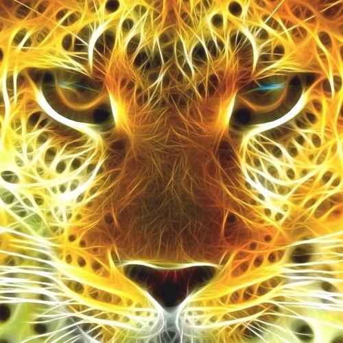 Gold-Tiger Music’s avatar