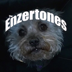 The Enzertones