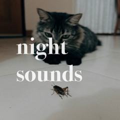 night sounds