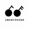 2MANYSOUND