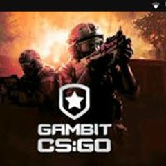 Alerrandro F S Marrocos