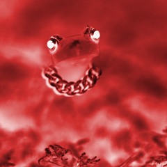 sadsalamand3r