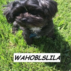 WAHOBLSLILA BY URIEL