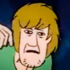 Shaggy with the Baggy