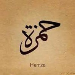 Mostafa Abo Hamza