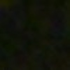songs