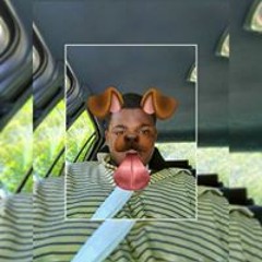 Johnny Anderson