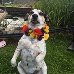 Zoi Trance