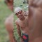 David Rodrigues Pimenta