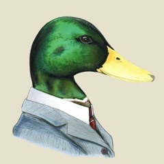 Dr.duck