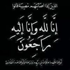 احمد شكرى النوبي