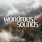 wondrous sounds