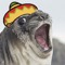 i'm on @sombrerotwi now, dawg