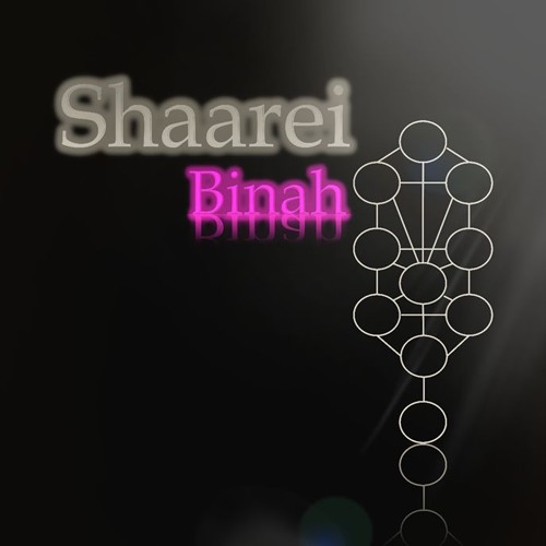 Shaarei Binah’s avatar