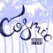 COSMIC RECORDS STORE