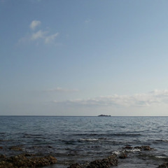 Ali Tural