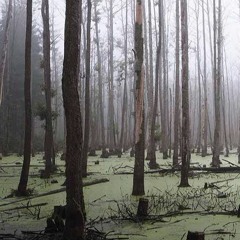 SWAMP