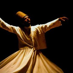 Mohamed Kamal 617