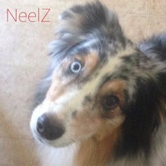 NeelZ