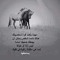 اسلام امين