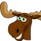 Anonymoose Main