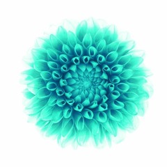 uLex R