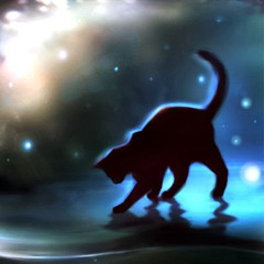 Cat Black