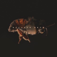 HÂLARTH BRÂN