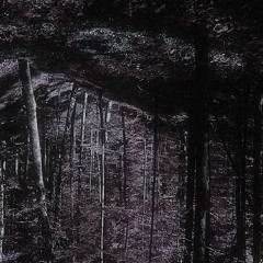 lost slimburn tracks 2013