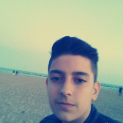 Andrea Pozzi