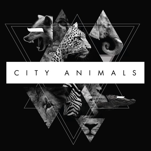 City Animals’s avatar