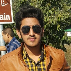 Hamza Awan