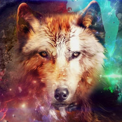 Wolf __