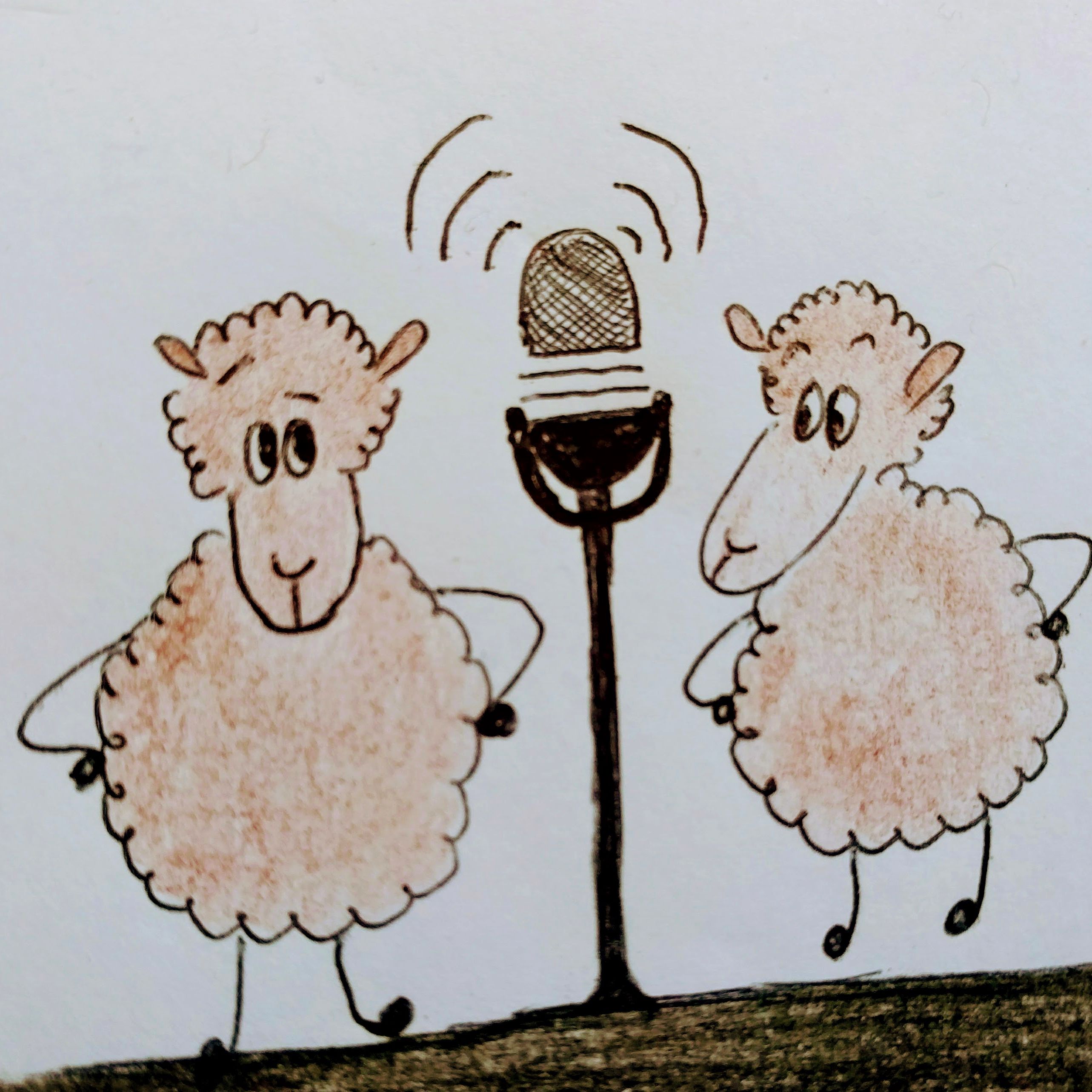 2 brown sheeps