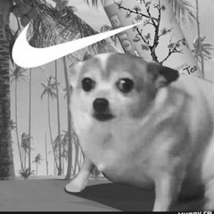 Lil Yeet