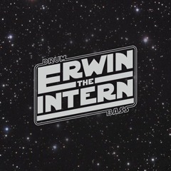 ERWIN the INTERN