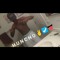 YoJay