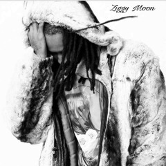 Ziggy Moon
