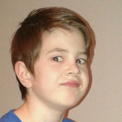 Dino Suljic