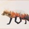FutureFox