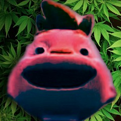 OG GERALD XD