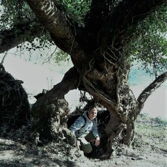 Deniz Asal
