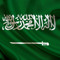 ناصر