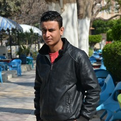 Amr El fakharany