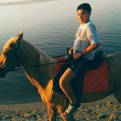 Youssef Mohamed