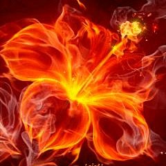 GhostLee2011TheLostPointsProject