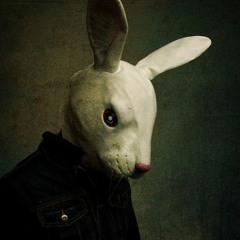 Follow The Rabbit