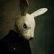 Follow The Rabbit