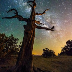 Broken Symmetry-Atlanta